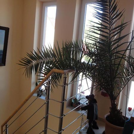 Fritzis Haus Appartamento Dierhagen Esterno foto