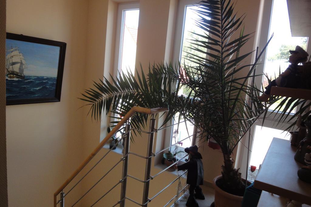 Fritzis Haus Appartamento Dierhagen Esterno foto